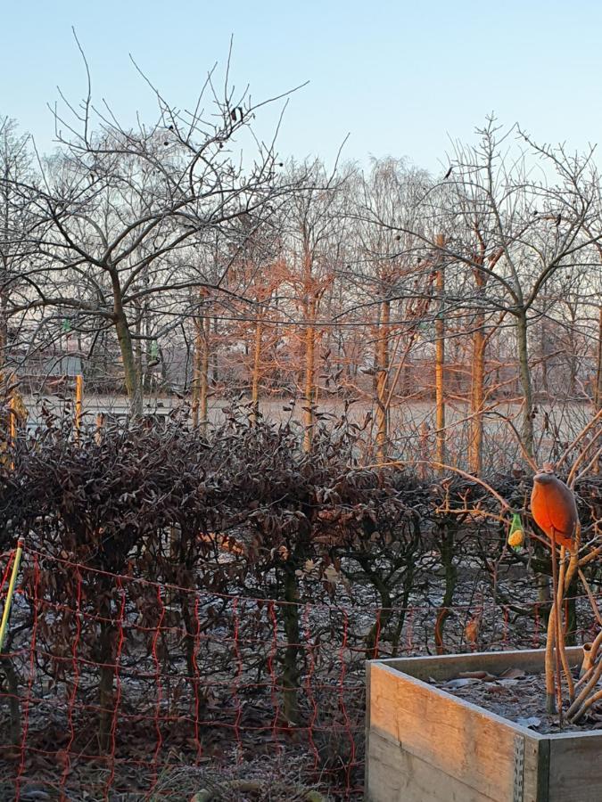 Recreatiewoning De Nieuwenhof * Melderslo