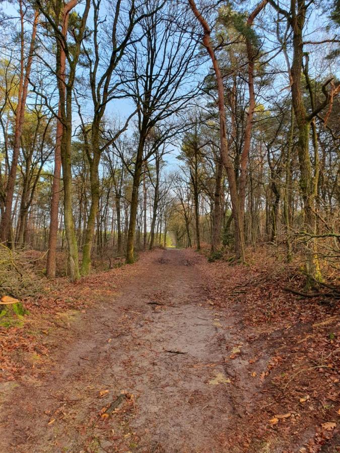 Ferienhaus Recreatiewoning De Nieuwenhof *